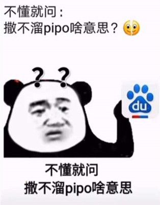 撒不溜pipo啥意思？抖音你个撒不溜pipo含义介绍[多图]图片1