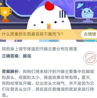 蚂蚁庄园7月21日问题答案是什么？狗狗身上调节体温的汗腺主要分布在哪里[多图]图片2